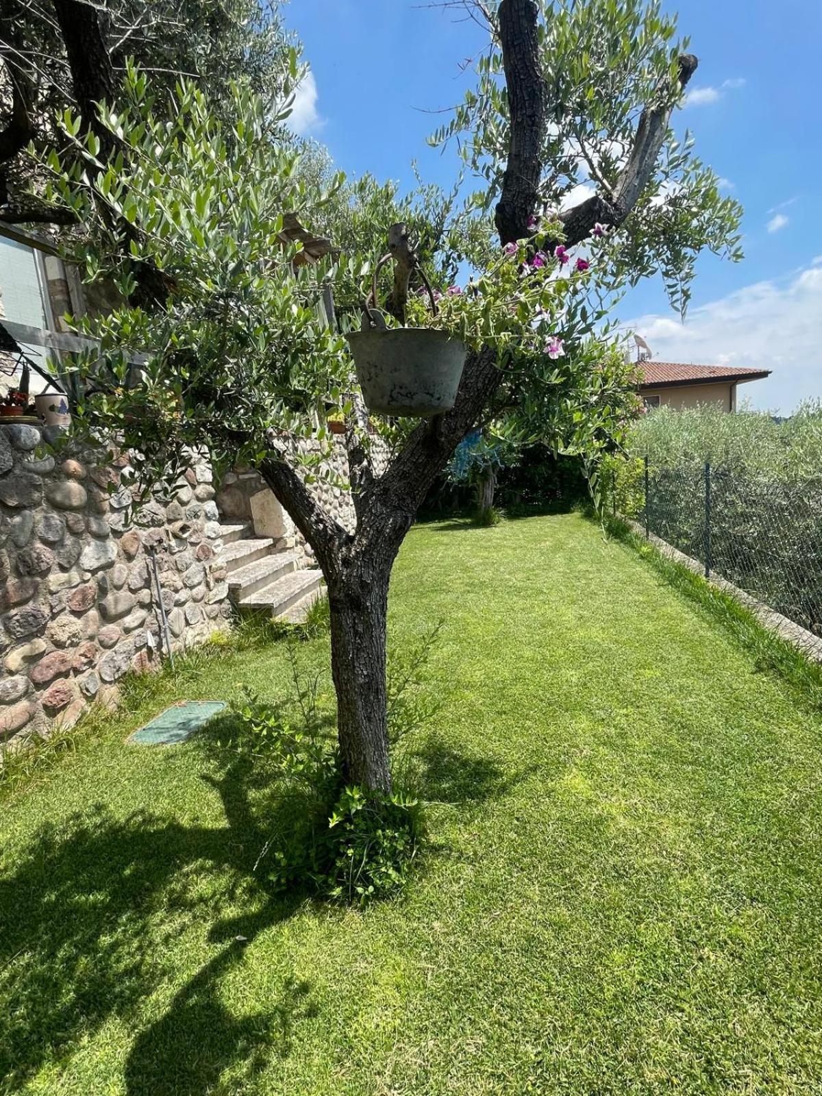 Garden Room Cavaion Veronese Ngoại thất bức ảnh